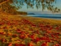 Four Mile Beach Port Douglas by Russell Spence