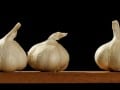 Garlic Talk - 52s_Web