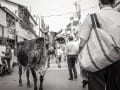 Holy Cow - Mumbai-0s_Web