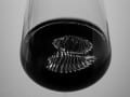 Light on the palate-112N_Web