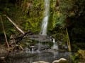 OTWAYS FALLS-109-1_Web