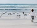 Running at Birds - 70S-4865_Web