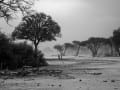 2-African-dust-storm