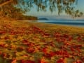 Four Mile Beach Port Douglas.jpg